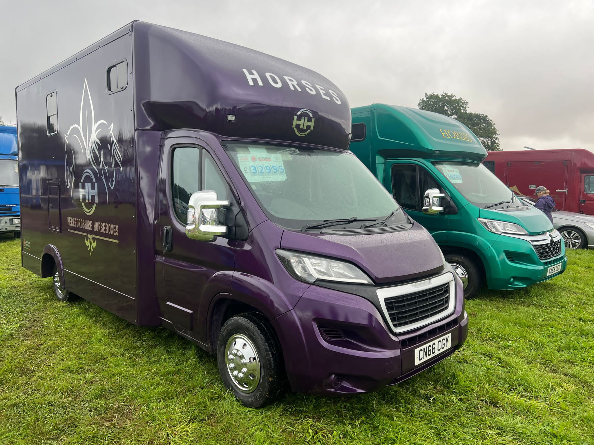 Purple horsebox in a field